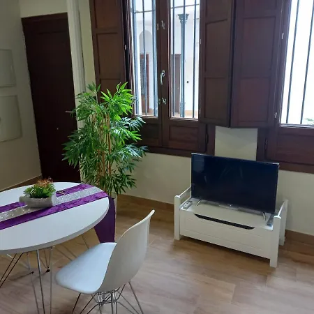 Apartman Coqueto Centrico